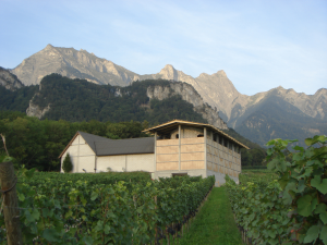Vinařství Gantenbein, Gramazio & Kohler + Bearth & Deplazes Architekten