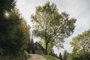 Chalupa ve Strážném je citlivě zasazena do krkonošské krajiny a přirozeně navazuje na charakter místa. (Chalupa ve stráni; Mimosa Architekti)