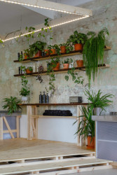 Ondřej Bělica - Ateliér na náměstí: V salonu došlo k odhalení původních výmaleb