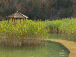 Arboretum Park Gródek známý jako polské Maledivy