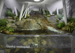 Roman Koucký, Krkonošské muzeum Správy KRNAP Vrchlabí