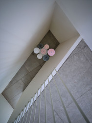 Až na jeden mezonet jde vždy o byty jednopodlažní. (Rekonstrukce pavlačového domu v Praze-Nuslích, Plus One Architects) 