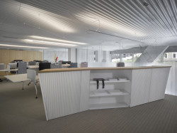 Kancelářské prostory a showroom developerské společnosti Satpo, Daniela Polubědovová