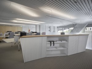 Kancelářské prostory a showroom developerské společnosti Satpo, Daniela Polubědovová