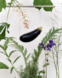 Fotograf roku: Vojtěch Veškrna