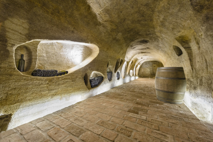 Vinný sklep Konice, Tomáš Dvořák architekti