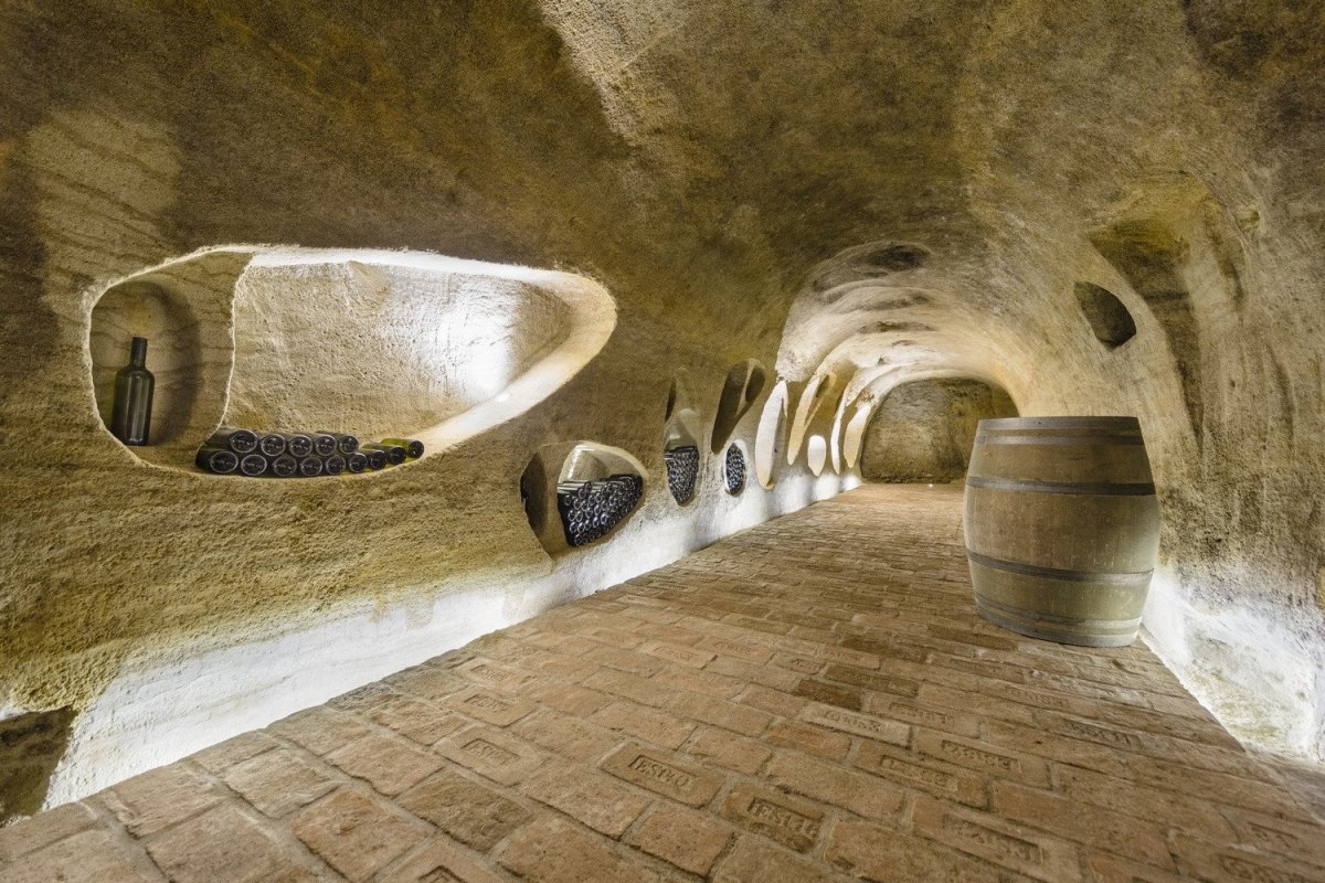 Vinný sklep Konice, Tomáš Dvořák architekti
