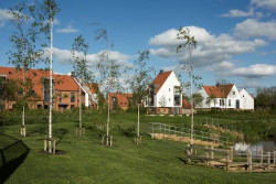 Derwenthorpe Phase One, Studio Partington , Foto