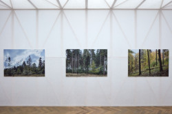 Mjölk architekti, výstava Dělat les