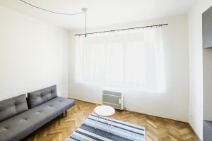 0,5 Studio, Nájemní byt Kačerov II – foto