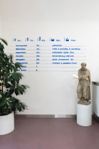 Interiér zmrzlinárny v Brně od architektky Barbory Kudelové