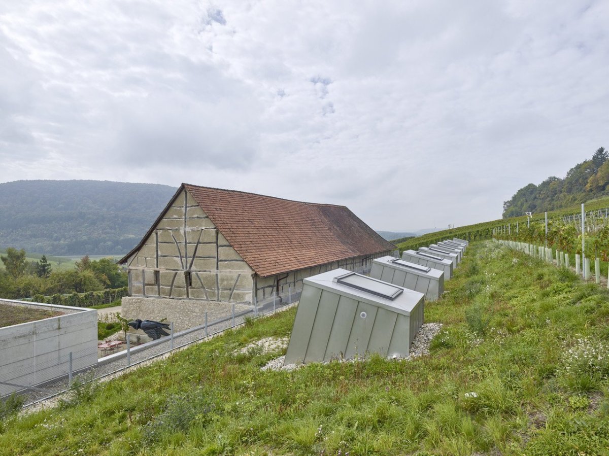 Taneční sál pod vinohradem, SPPA Architekten