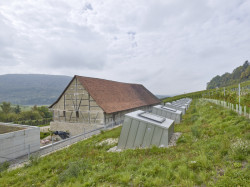 Taneční sál pod vinohradem, SPPA Architekten