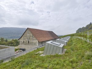 Taneční sál pod vinohradem, SPPA Architekten