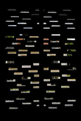 Rezidence Romaina Rollanda, Olgoj Chorchoj,