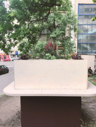 Restaurace Golden egg, mh architects