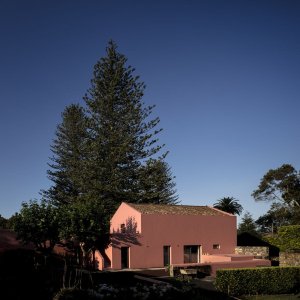 Pink House, Mezzo Atelier
