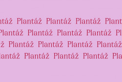 Nová vizuální identita města Blatná, Jakub Vaněk Studio.