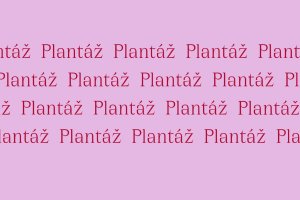 Nová vizuální identita města Blatná, Jakub Vaněk Studio.
