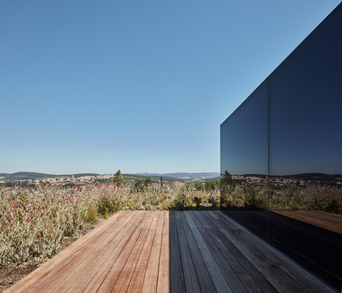 Lazy House, petrjanda/brainwork