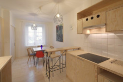 ArchitectureMADE, rekonstrukce plzeňského 1+1, interiér