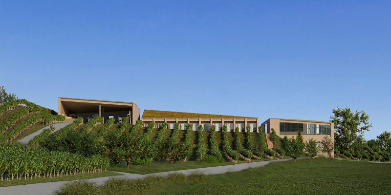 Vinařství Mikrosvín, FAM Architekti. Vizualizace: monolot