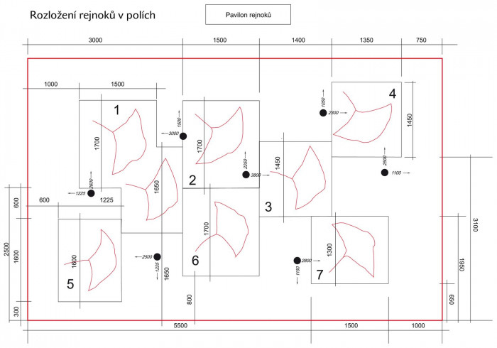 Alexandra Koláčková, Pochozí fontána s rejnoky, ZOO Zlín-Lešná, pozice rejnoků v poli - foto
