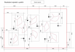 Alexandra Koláčková, Pochozí fontána s rejnoky, ZOO Zlín-Lešná, pozice rejnoků v poli - foto