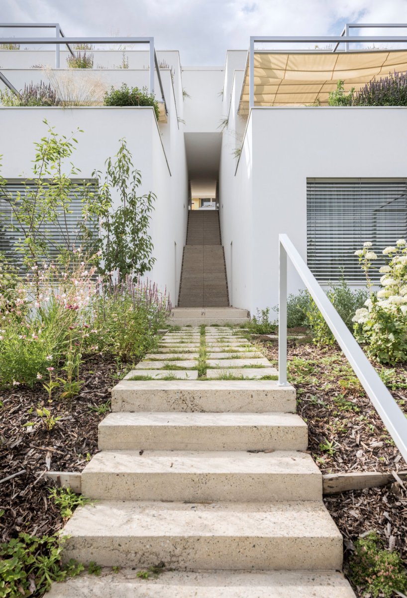 Schodiště uprostřed (Terasový dvojdům v Krči, martin cenek architecture)