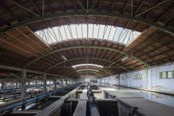 Svému účelu sloužila budova filtrů do roku 1997. Novou funkci našla v roce 2013 – unikátní systém nádrží krytých trojicí segmentových střech se využívá pro chov ryb.