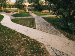 Různě "učesané" jsou taky pochozí povrchy, někde jsou řádně položené kostky. (Park U Vody v Praze-Holešovicích, YYYY)