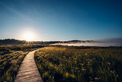 Naučná stezka Olšina od studia Reaktor