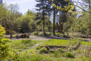 Původní prvky (Proměna zahrádkářské kolonie na park v Praze; Terra Florida)