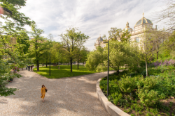 Krajinářský architekt Ondřej Fous pohovoří o realizaci veřejného prostoru Národního muzea v Praze, na kterém se podílel.