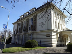 Leopold Bauer, Obchodní komora