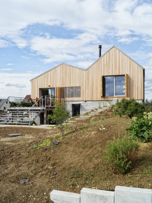 Dom Hora, Archholiks.