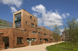 Hannibal garden, London, FOTO