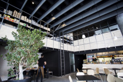 Prvky Ecophon SoloTM Baffle v šedé barvě