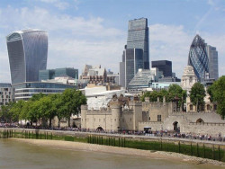 Okurka a spol. - foto