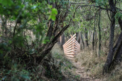 Autorka projektu: Sára Solmošiová