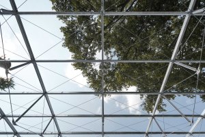 Architekti ze studia Chybík + Krištof obnovili slavný Mendelův skleník v Brně