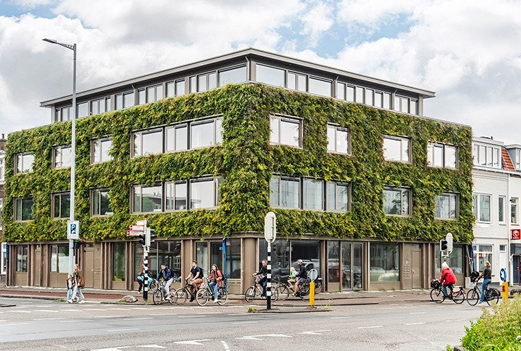 Nejsou jen vizuálně atraktivní, ale představují také strategickou investici do dlouhodobé udržitelnosti a technické výkonnosti budov.