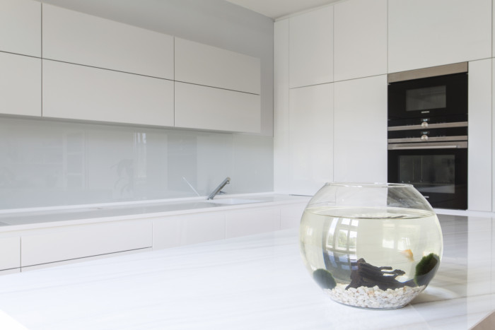 Rekonstrukce bytu v Dejvicích, KONCEPTUAL