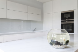 Rekonstrukce bytu v Dejvicích, KONCEPTUAL