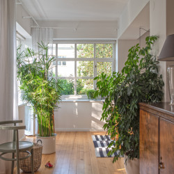 Rekonstrukce interiéru prvorepublikové vily od Studia X