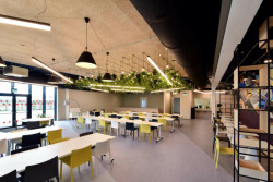 Základní školy EXUPERY s akustickými obklady Acutec