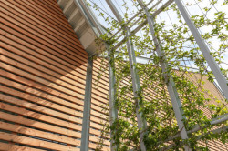 Detail dřevěného obkladu a vstupního portálu