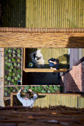 Barrets Grove, Amin Taha + Groupwork