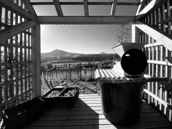 Viniční domek Velké Žernoseky od architekta Jana Žaloudka