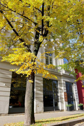 Daniela Hradilová, Dependelab, Hotel City.City - foto